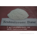 Human Growth Hormone Anti Estrogen Steroids Trenbolone Base